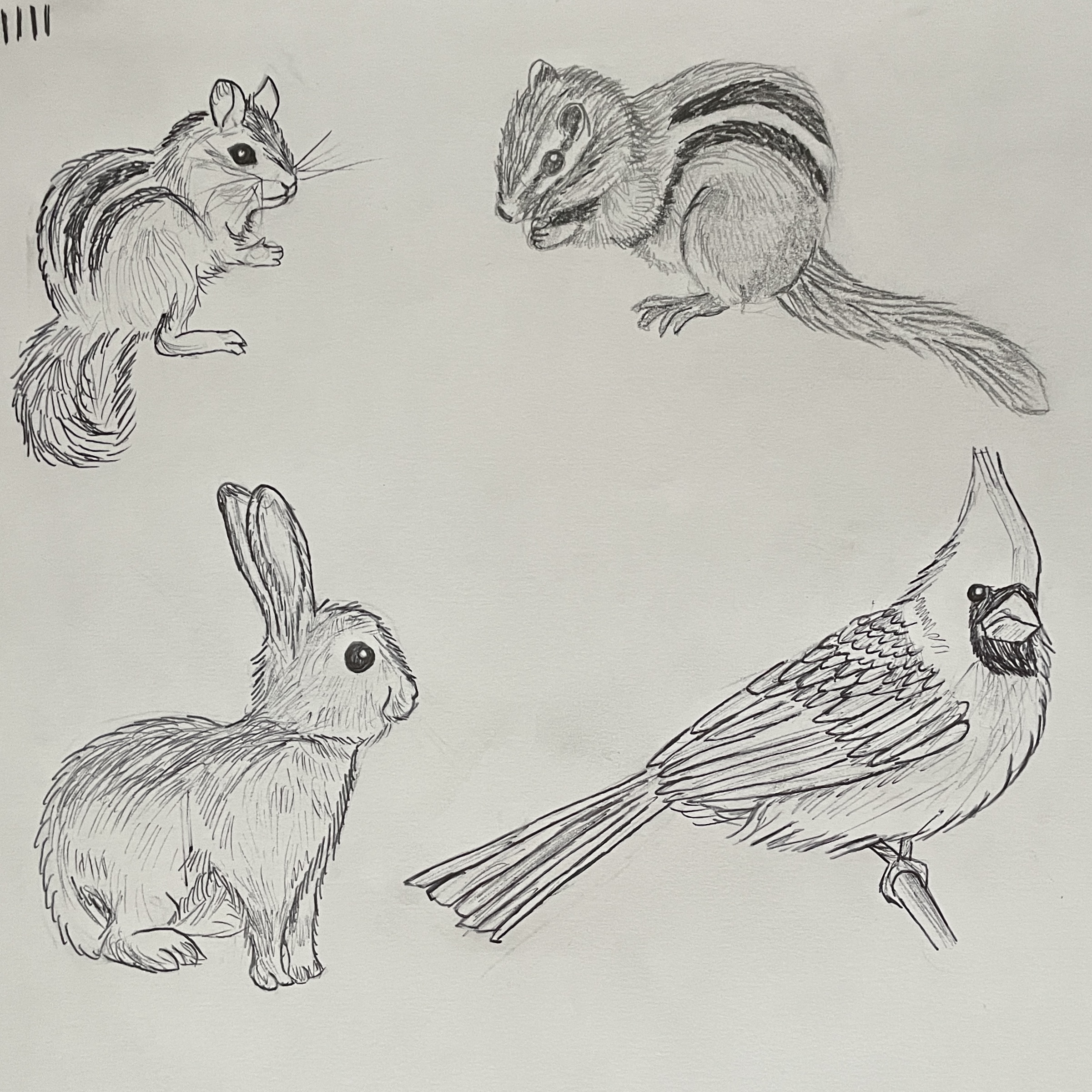 Black and White Illustration