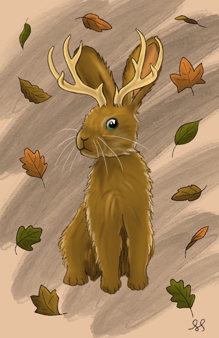 Color Illustration