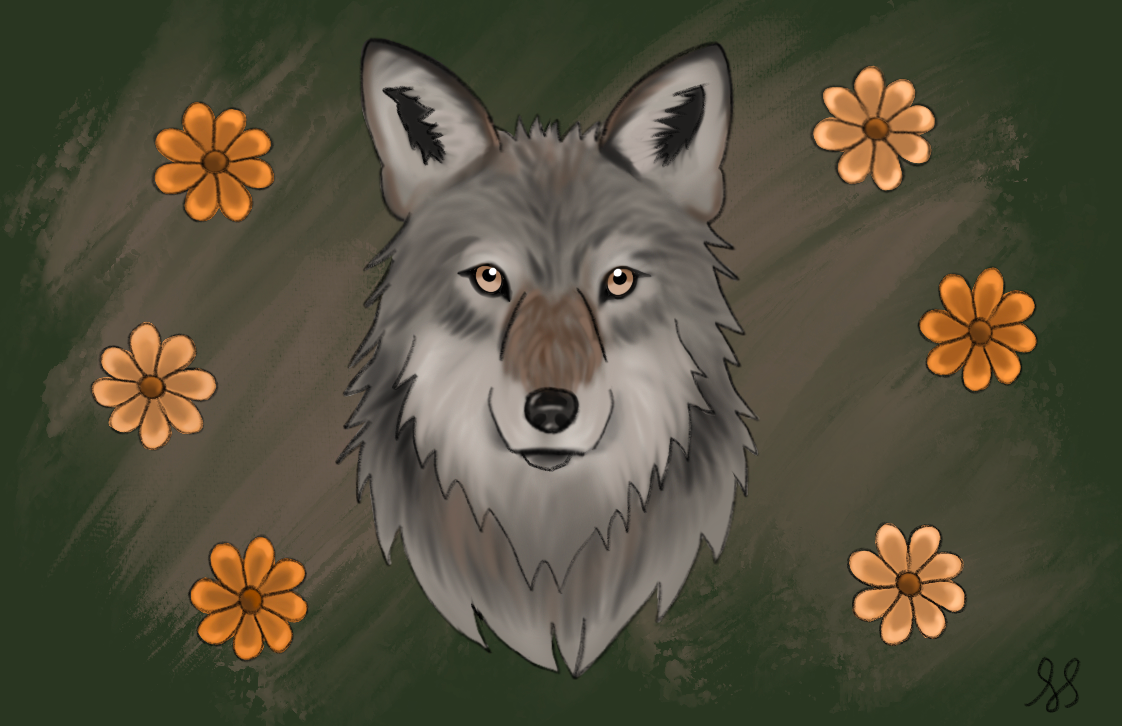 Color Illustration